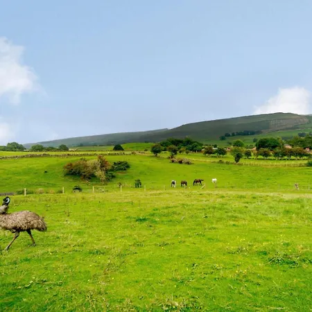 Holiday home 1 Bed In Melmerby Oc-82493 Kirkoswald (Cumbria)